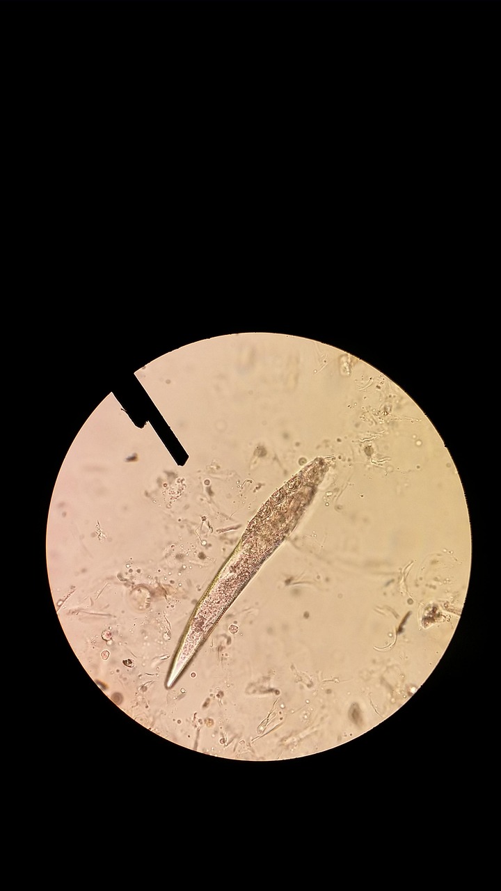 背中ニキビに効果的な処方薬は何ですか？
