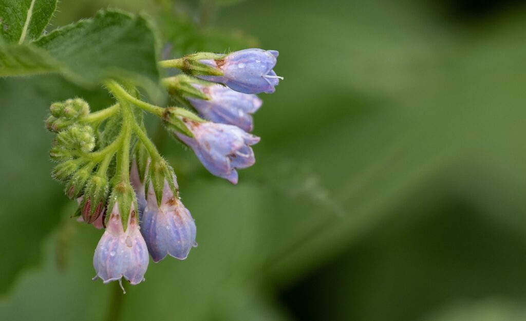 背中ニキビを改善するためのブライダルエステのおすすめは？