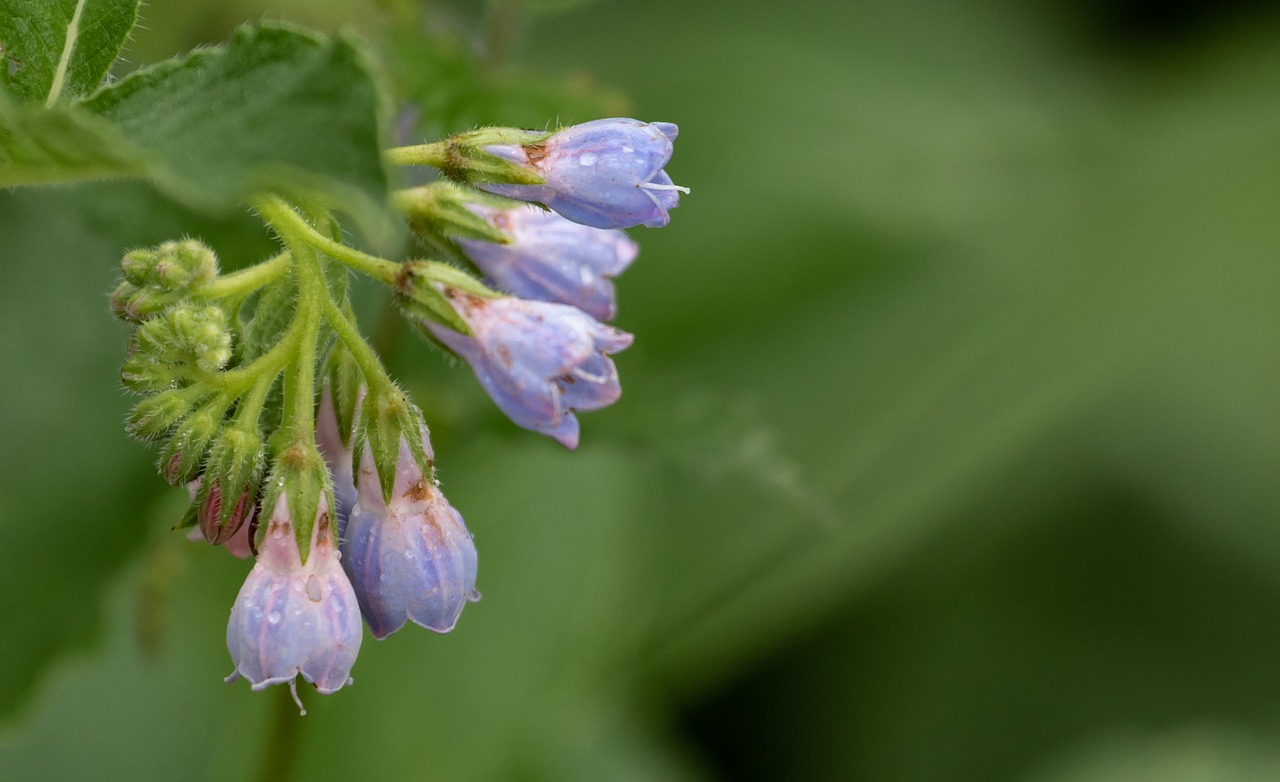 背中ニキビに最適な衣服の素材とその対策は？